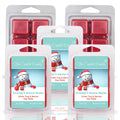 5 Pack - Frosty's Snow Balls - Winter Twig & Berries Scented Wax Melt - 2 Ounces x 5 Packs = 10 Ounces - The Candle Daddy
