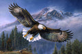 Diamond Painting American Anthem 33" x 22″ (84cm x 56cm) / Square with 43 Colors including 4 ABs / 73,372
