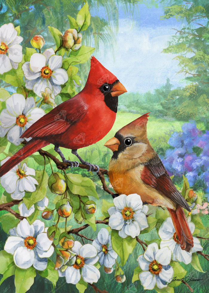 Diamond Painting Cardinal Couple 13" x 18" (32.8cm x 46cm) / Round with 62 Colors including 3 ABs and 1 Fairy Dust Diamonds / 19,188