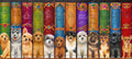 Diamond Painting Dog Bookshelf 49" x 22" (125cm x 56cm) / Square with 53 Colors including 4 ABs / 112,224