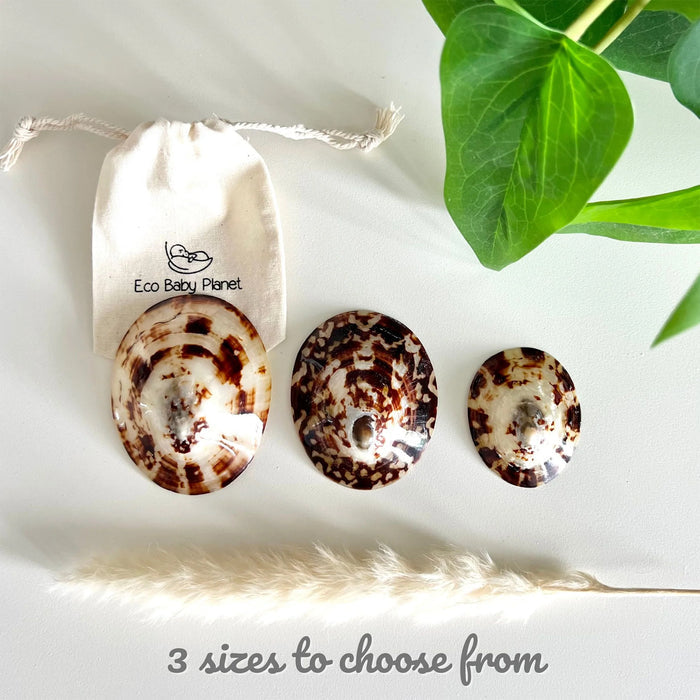 Eco Baby Planet breastfeeding seashells showing smooth inner shell design