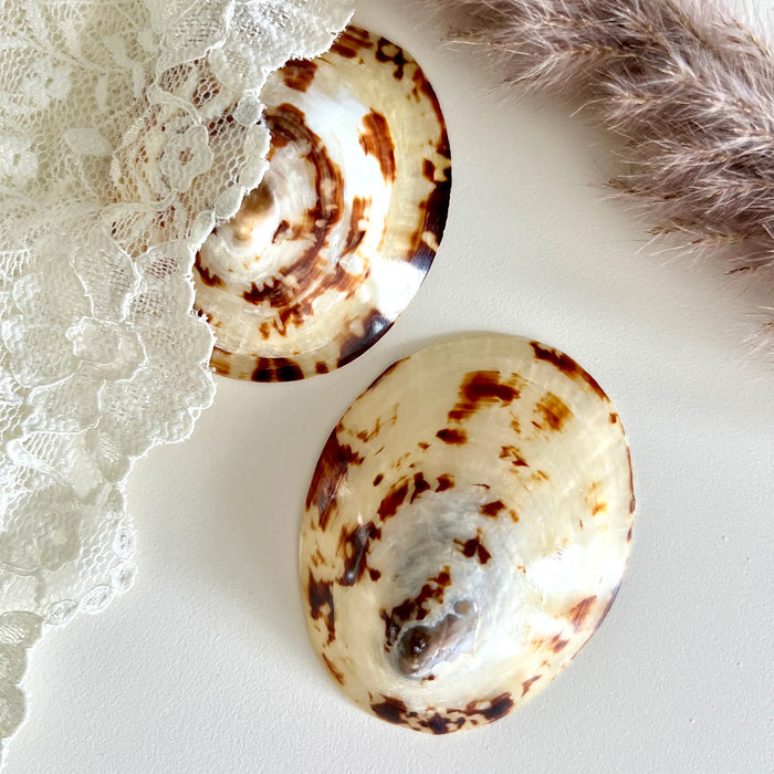 Eco Baby Planet breastfeeding seashells protective nursing cups