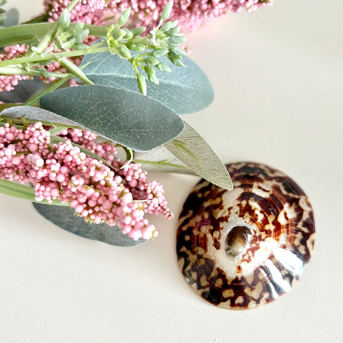 Eco Baby Planet breastfeeding seashells product image supporting nursing comfort