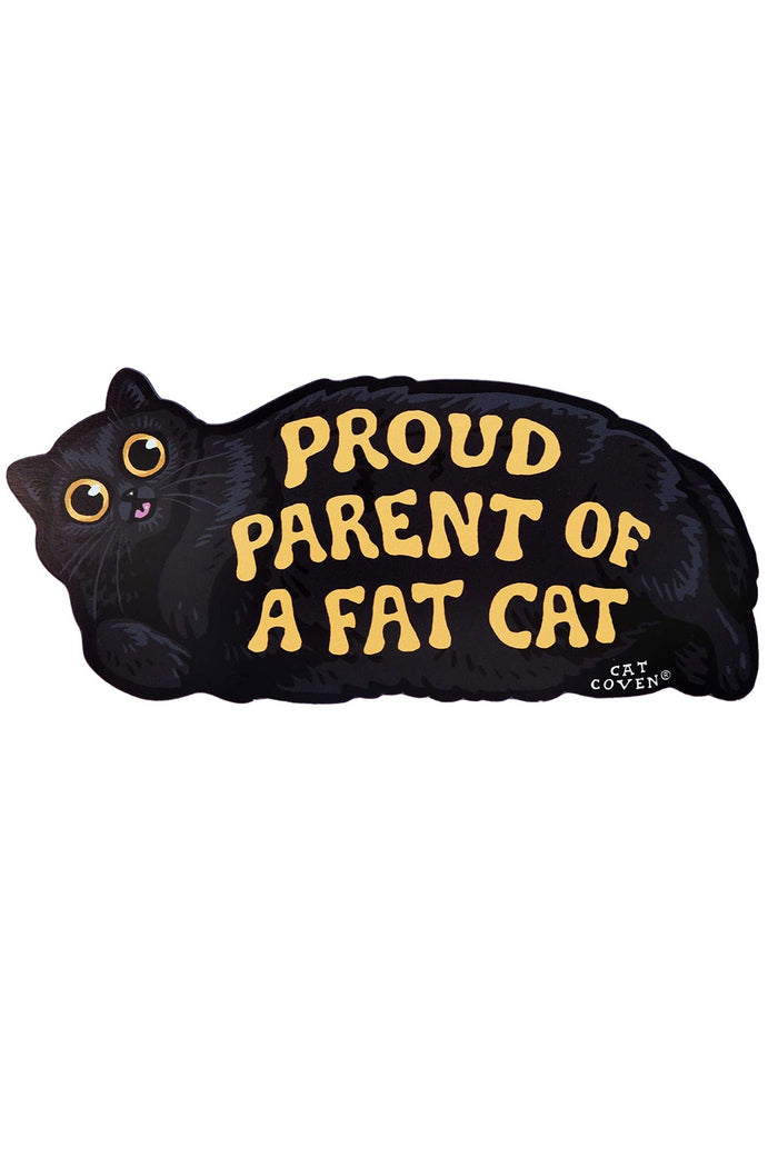 black cat car magnet