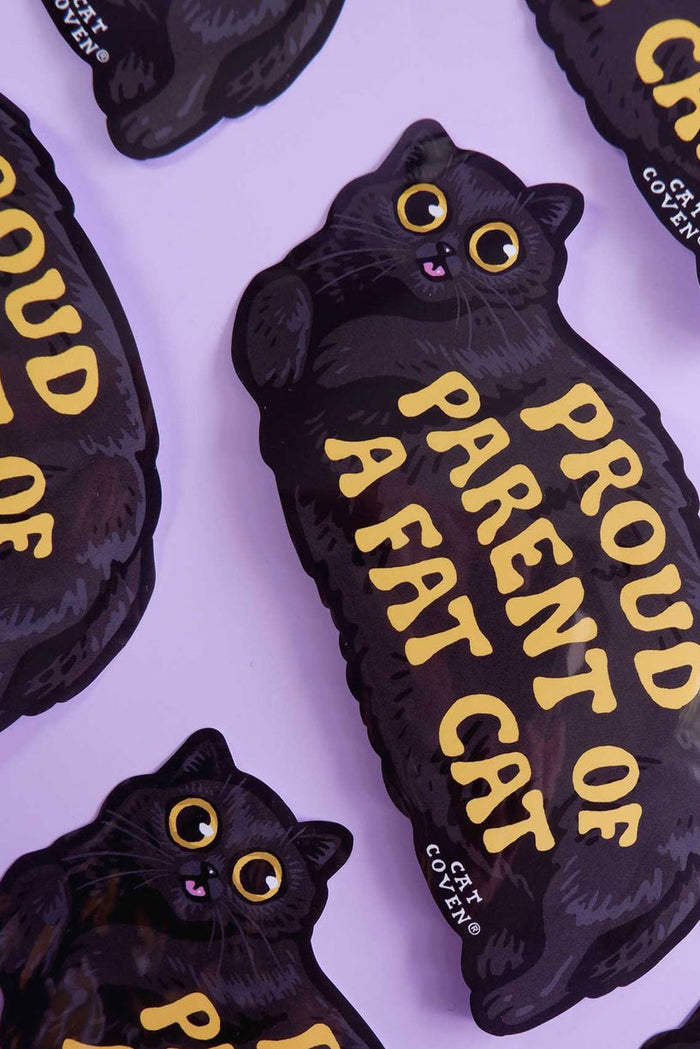black cat lover magnet for car