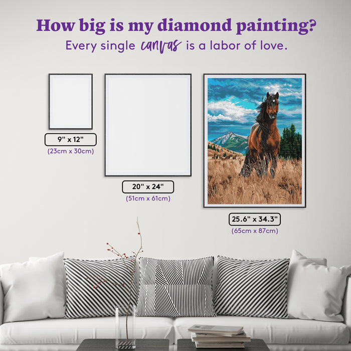 Diamond Painting Freedom 25.6" x 34.3" (65cm x 87cm) / Square with 48 Colors including 5 ABs / 91,089