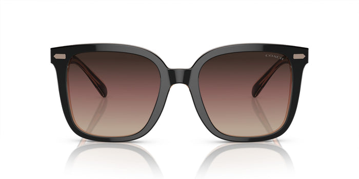 COACH HC8381U 5781E2 54 SUNGLASSES