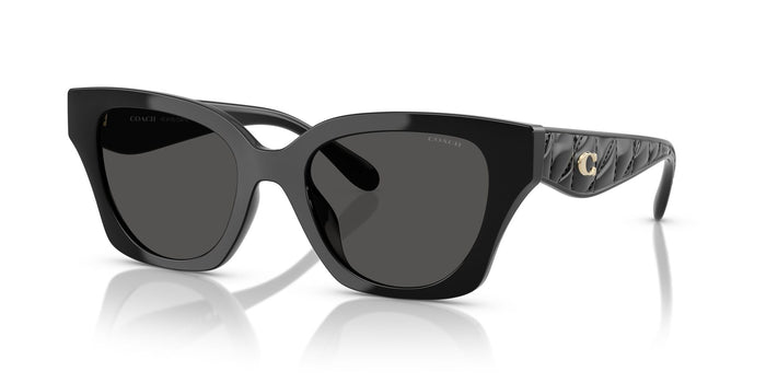 COACH HC8418U  500287 53 SUNGLASSES