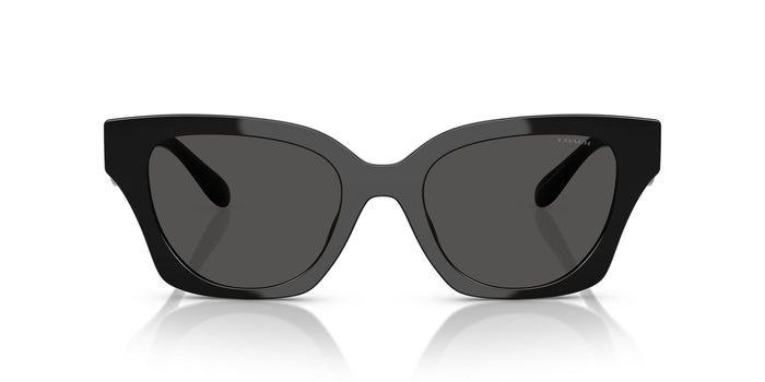 COACH HC8418U  500287 53 SUNGLASSES