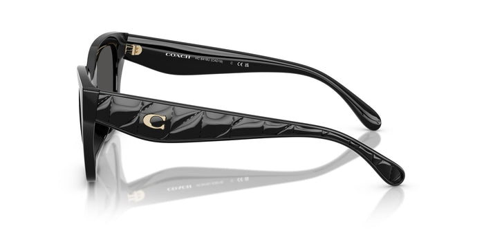 COACH HC8418U  500287 53 SUNGLASSES