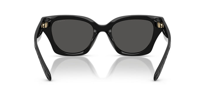 COACH HC8418U  500287 53 SUNGLASSES