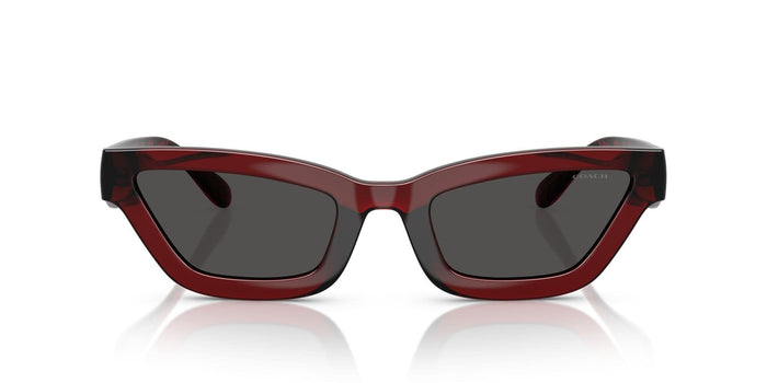 COACH HC8420U CAD28 587487 55 SUNGLASSES