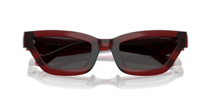 COACH HC8420U CAD28 587487 55 SUNGLASSES