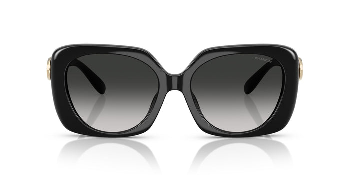 COACH HC8422U 50023C 55 SUNGLASSES