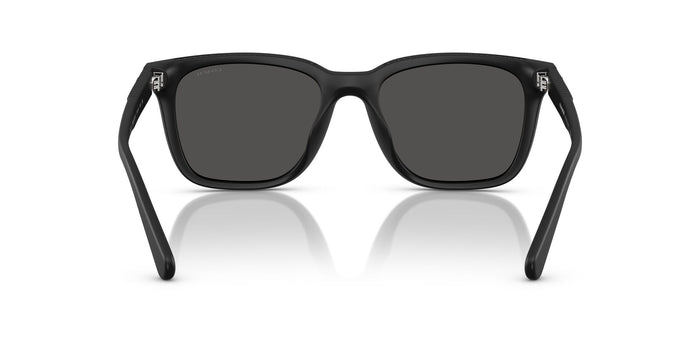 COACH HC8426U CAD81 500287 54 SUNGLASSES