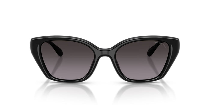 COACH HC8434U 5002F4 53 SUNGLASSES