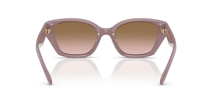 COACH HC8434U 549511 53 SUNGLASSES