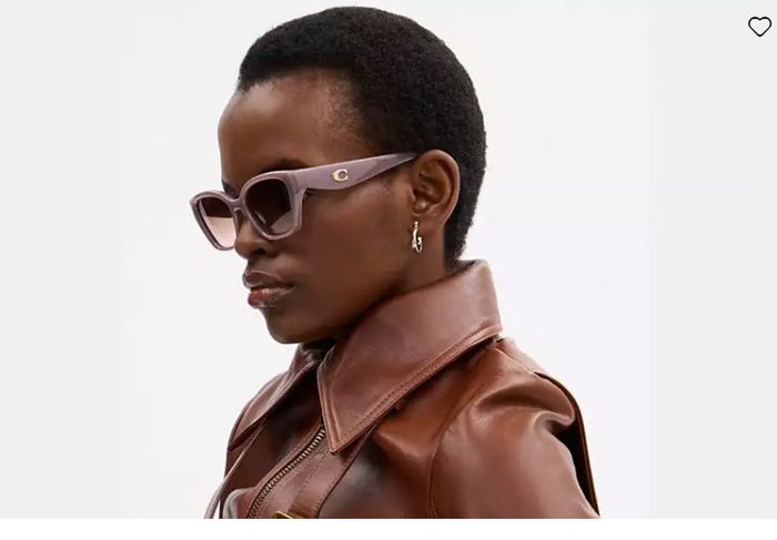 COACH HC8434U 549511 53 SUNGLASSES