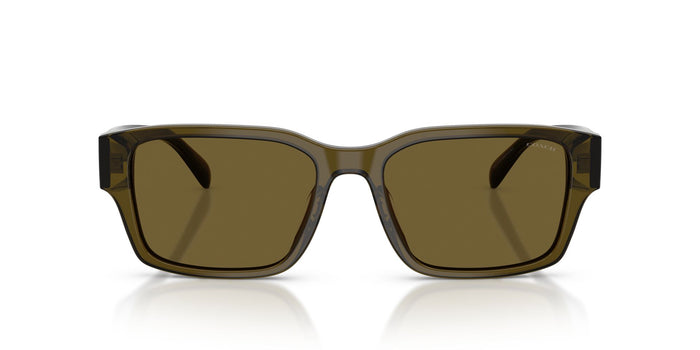 COACH HC8441U 591073 55 SUNGLASSES