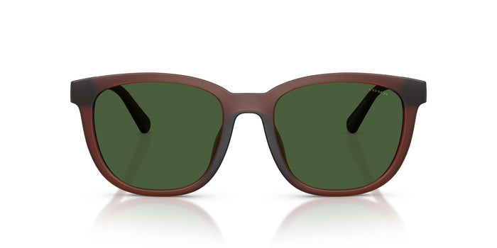 COACH HC8442U 591171 54 SUNGLASSES