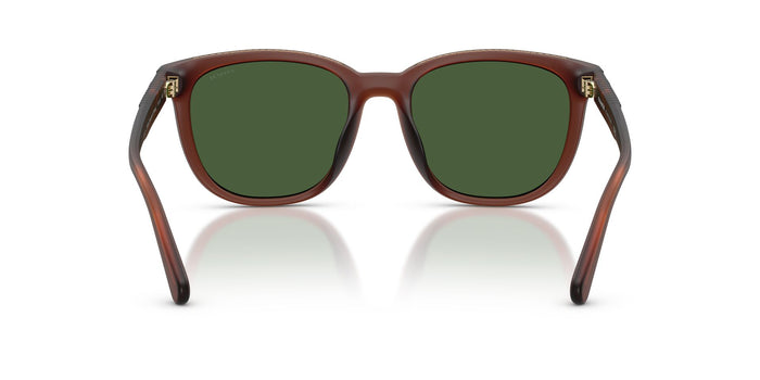 COACH HC8442U 591171 54 SUNGLASSES