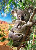 Diamond Painting Koala and Cub 20" x 28" (50.7cm x 70.6cm) / Round with 53 Colors including 3 ABs and 1 Fairy Dust Diamonds / 45,612