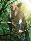 Diamond Painting Legolas 27.6" x 36.6" (70cm x 93cm) / Square with 59 Colors including 1 AB and 2 Fairy Dust Diamonds / 104,813