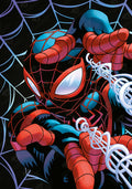 Diamond Painting Miles Morales™ 17" x 24" (42.6cm x 60.8cm) / Round With 28 Colors Including 2 ABs and 1 Fairy Dust Diamonds / 32,984
