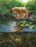 Diamond Painting Nibbles 27.6" x 36.6" (69.9cm x 92.8cm) / Square with 67 Colors including 2 ABs and 3 Fairy Dust Diamonds / 104,813
