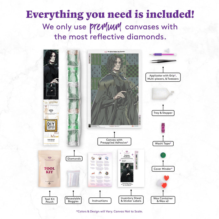 Diamond Painting Potions Professor 22" x 33" (56cm x 84cm) / Square With 16 Colors Including 1 AB / 74,705