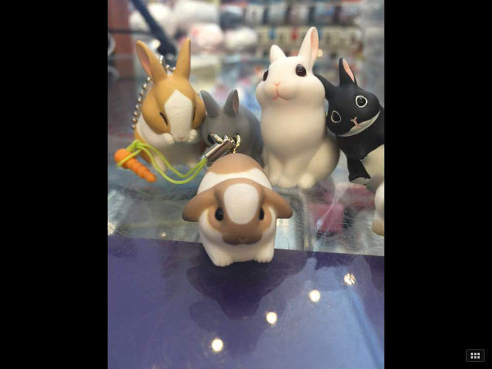 Rabbit Strap Set