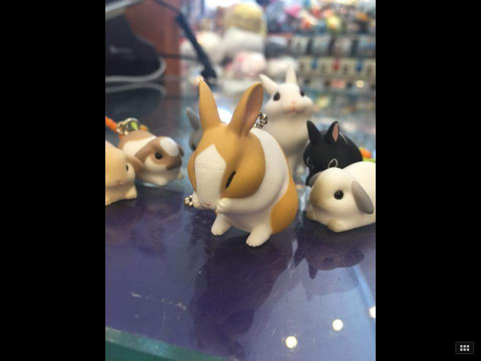 Rabbit Strap Set