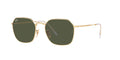 RAYBAN RB3694 JIM 00131 53 SUNGLASSES