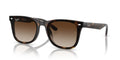 RAYBAN RB4420 71013 65 SUNGLASSES