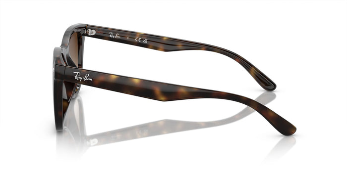 RAYBAN RB4420 71013 65 SUNGLASSES