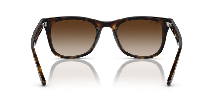 RAYBAN RB4420 71013 65 SUNGLASSES