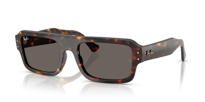RAYBAN RB4454 FLACKO 1359B1 53 SUNGLASSES