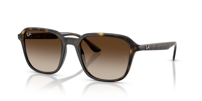 RAYBAN RB4465I 710 13 54 SUNGLASSES