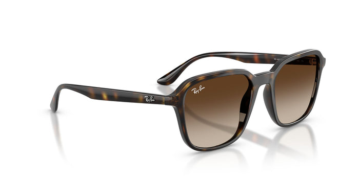RAYBAN RB4465I 710 13 54 SUNGLASSES