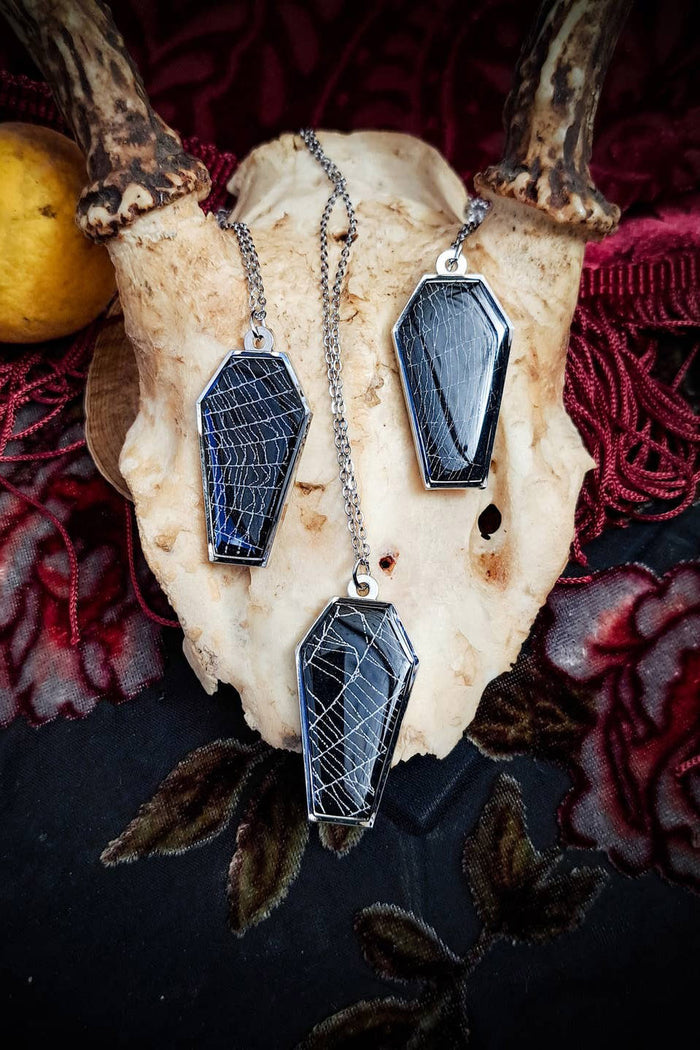 spiderweb taxidermy jewelry