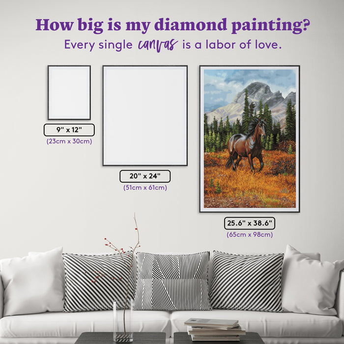 Diamond Painting Rocky Mountain Freedom 25.6" x 38.6" (65cm x 98cm) / Square with 44 Colors including 3 ABs / 102,573