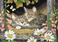 Diamond Painting Sisters 30" x 22" (76cm x 55.8cm) / Square with 49 Colors including 3 ABs and 2 Fairy Dust Diamonds / 68,320