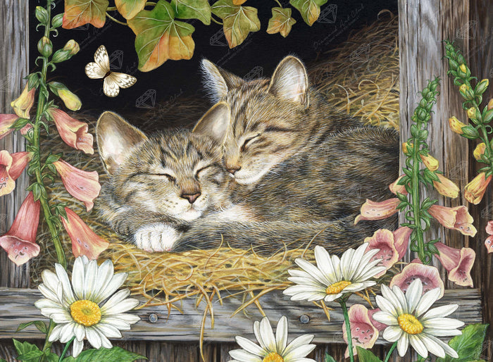 Diamond Painting Sisters 30" x 22" (76cm x 55.8cm) / Square with 49 Colors including 3 ABs and 2 Fairy Dust Diamonds / 68,320