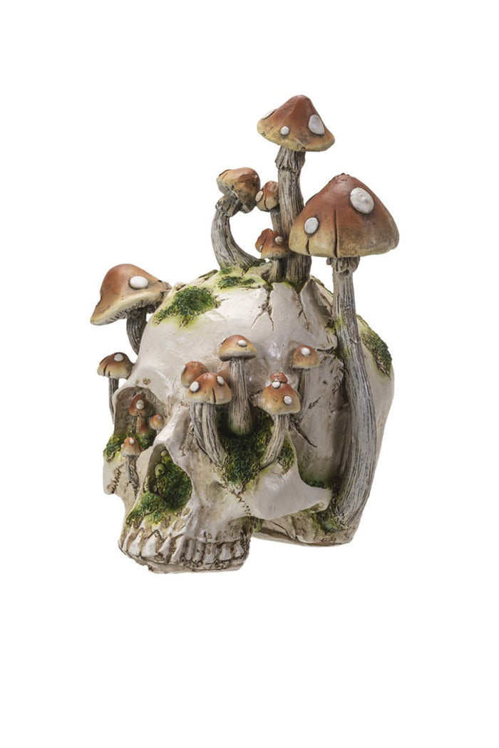 witchy cottagecore mushroom growing out of skull statue
