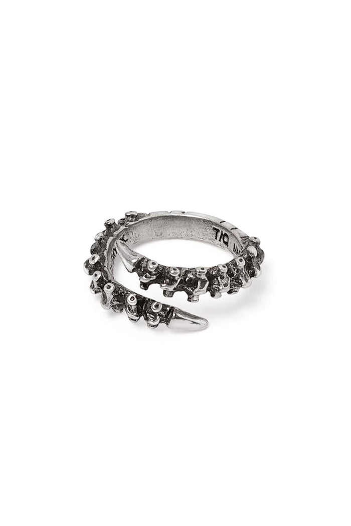 Pewter spine ring from Alchemy England