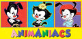 Diamond Painting The Animaniacs™ 35" x 17" (88.9cm x 42.8cm) / Square with 19 Colors including 4 ABs / 61,404