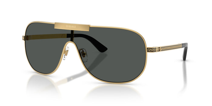 VERSACE VE2293 100287 40 SUNGLASSES