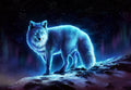 Diamond Painting Wanderer 21.7" x 31.5 (55cm x 80cm) / Round With 25 Colors including 1 AB / 55,185